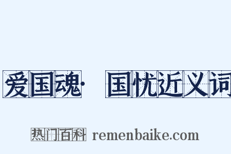 爱国魂·国忧近义词是什么意思的图片